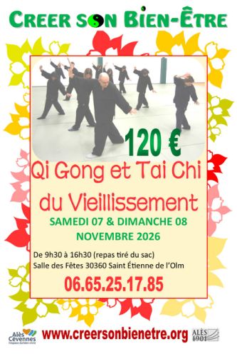 Qi Gong et Tai Chi du vieillissement 11/07/2026